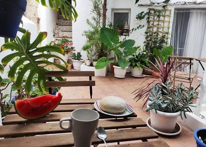 Besara Vejer