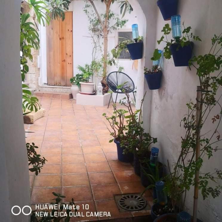 Besara Vejer